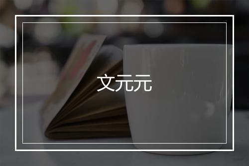 文元元