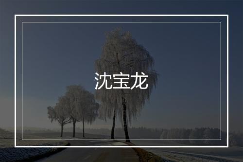 沈宝龙