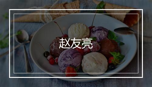 赵友亮