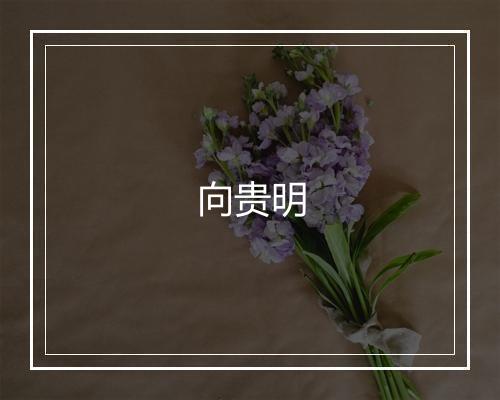 向贵明