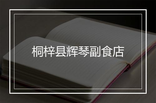 桐梓县辉琴副食店