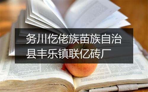 务川仡佬族苗族自治县丰乐镇联亿砖厂