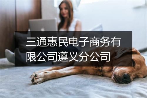 三通惠民电子商务有限公司遵义分公司
