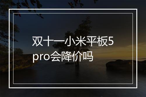 双十一小米平板5pro会降价吗