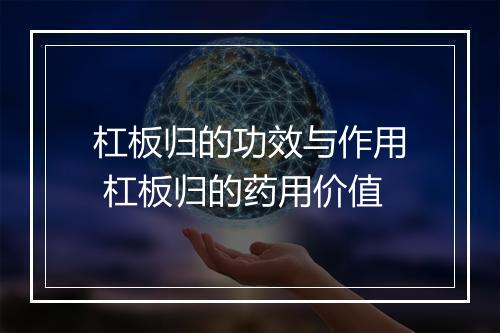 杠板归的功效与作用 杠板归的药用价值