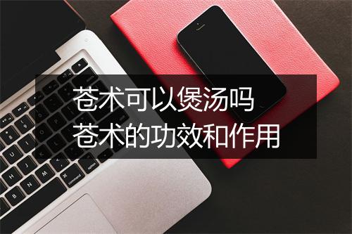 苍术可以煲汤吗 苍术的功效和作用