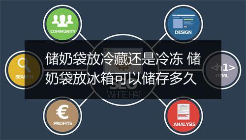储奶袋放冷藏还是冷冻 储奶袋放冰箱可以储存多久