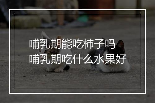 哺乳期能吃柿子吗 哺乳期吃什么水果好