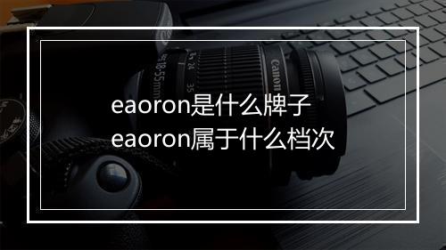 eaoron是什么牌子 eaoron属于什么档次