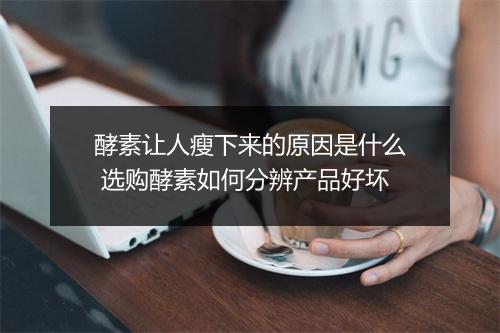 酵素让人瘦下来的原因是什么 选购酵素如何分辨产品好坏