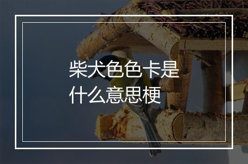 柴犬色色卡是什么意思梗