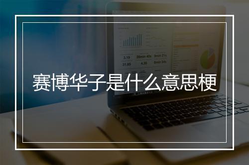 赛博华子是什么意思梗
