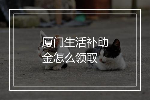 厦门生活补助金怎么领取