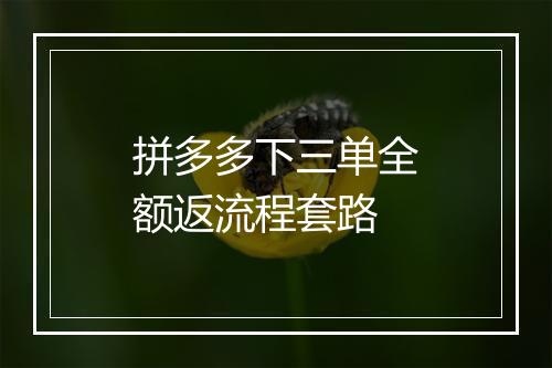 拼多多下三单全额返流程套路