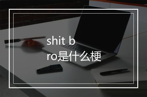 shit bro是什么梗