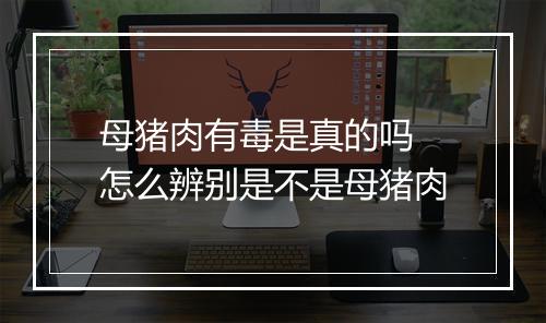 母猪肉有毒是真的吗 怎么辨别是不是母猪肉