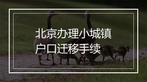 北京办理小城镇户口迁移手续