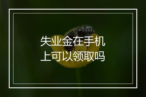 失业金在手机上可以领取吗