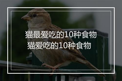 猫最爱吃的10种食物 猫爱吃的10种食物