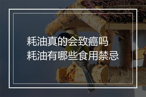 耗油真的会致癌吗 耗油有哪些食用禁忌