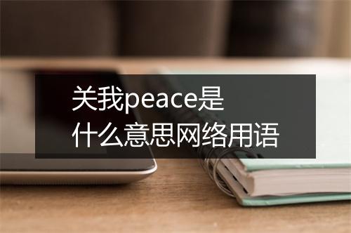 关我peace是什么意思网络用语