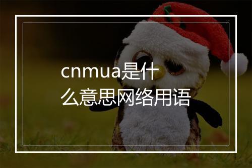 cnmua是什么意思网络用语