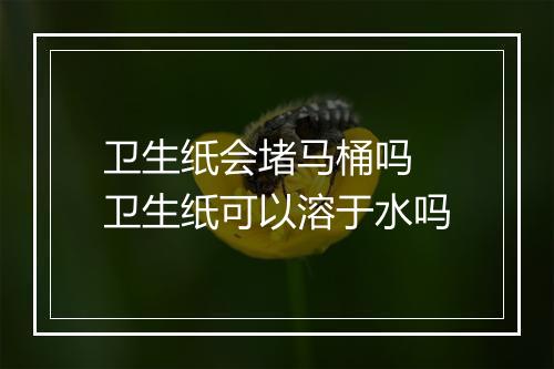 卫生纸会堵马桶吗 卫生纸可以溶于水吗