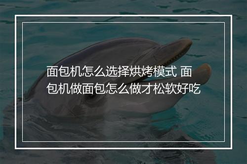 面包机怎么选择烘烤模式 面包机做面包怎么做才松软好吃