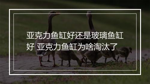 亚克力鱼缸好还是玻璃鱼缸好 亚克力鱼缸为啥淘汰了