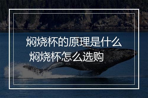 焖烧杯的原理是什么 焖烧杯怎么选购
