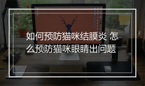 如何预防猫咪结膜炎 怎么预防猫咪眼睛出问题