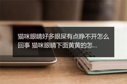猫咪眼睛好多眼屎有点睁不开怎么回事 猫咪眼睛下面黄黄的怎么清除