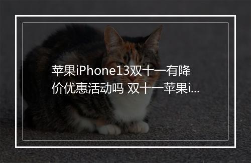 苹果iPhone13双十一有降价优惠活动吗 双十一苹果iPhone13会有降价优惠活动吗