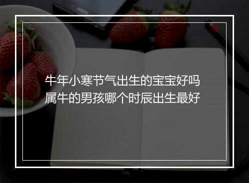牛年小寒节气出生的宝宝好吗 属牛的男孩哪个时辰出生最好