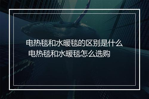 电热毯和水暖毯的区别是什么 电热毯和水暖毯怎么选购