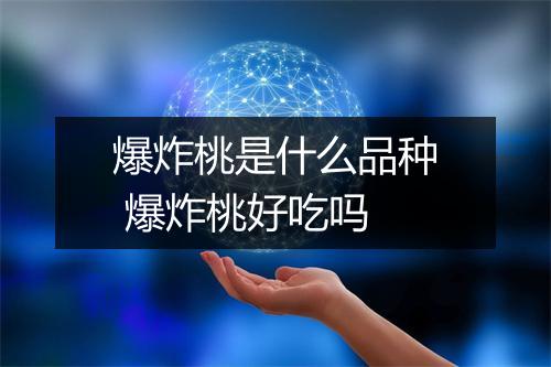 爆炸桃是什么品种 爆炸桃好吃吗
