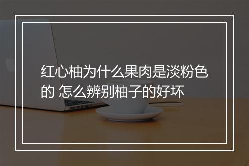 红心柚为什么果肉是淡粉色的 怎么辨别柚子的好坏