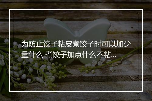 为防止饺子粘皮煮饺子时可以加少量什么 煮饺子加点什么不粘皮