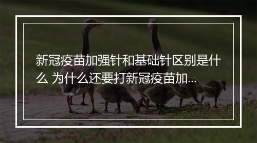 新冠疫苗加强针和基础针区别是什么 为什么还要打新冠疫苗加强针