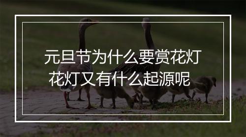元旦节为什么要赏花灯 花灯又有什么起源呢