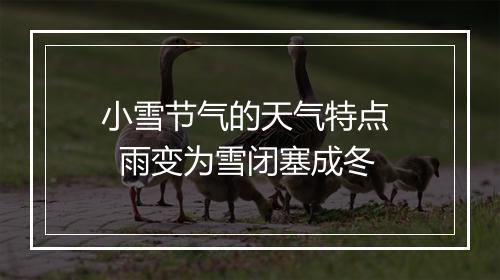 小雪节气的天气特点   雨变为雪闭塞成冬