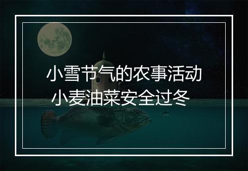 小雪节气的农事活动 小麦油菜安全过冬