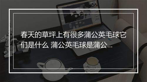 春天的草坪上有很多蒲公英毛球它们是什么 蒲公英毛球是蒲公英的什么