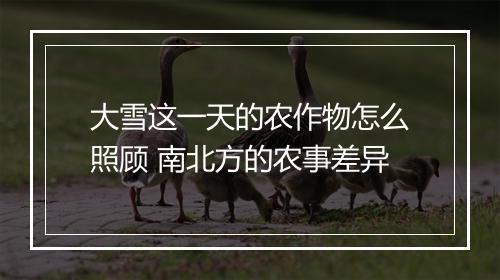 大雪这一天的农作物怎么照顾 南北方的农事差异