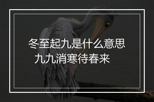 冬至起九是什么意思  九九消寒待春来