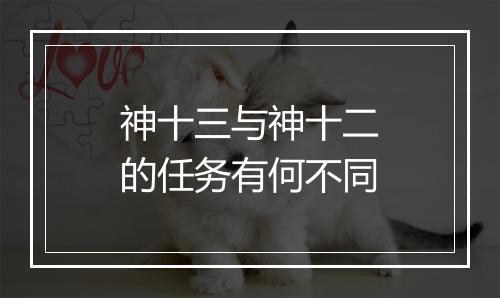 神十三与神十二的任务有何不同