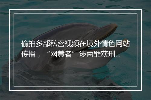 偷拍多部私密视频在境外情色网站传播，“网黄者”涉两罪获刑！