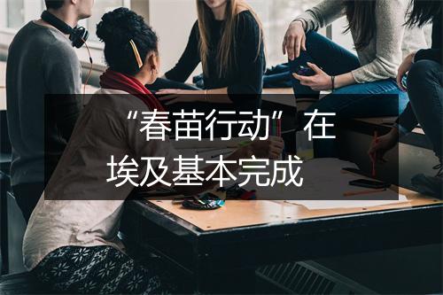 “春苗行动”在埃及基本完成