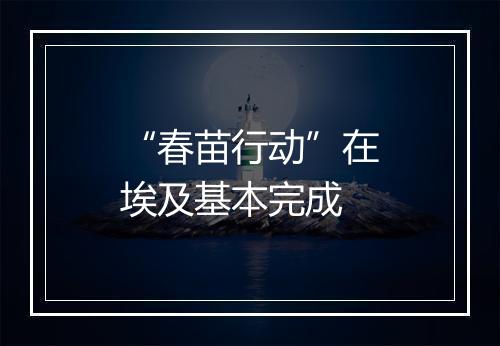 “春苗行动”在埃及基本完成