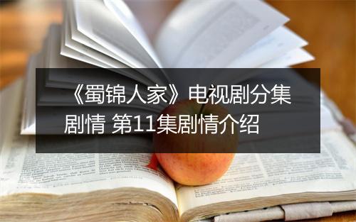 《蜀锦人家》电视剧分集剧情 第11集剧情介绍